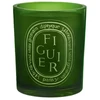 Diptyque Figuier Scented Candle kvapni žvakė, 300g