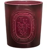 DIPTYQUE TUBEREUSE CANDLE 300 GR
