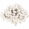Dirbtinis dekoratyvinis šermukšnis Springos CA0743 12mm 100 vnt.