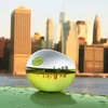 Donna Karan DKNY Be Delicious rinkinys moterims (EDP, 30 ml + dušo putos, 150 ml)