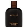 Kvepalai vyrams Dolce &amp; Gabbana Intenso EDP, 200 ml