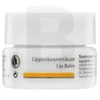 Dr. Hauschka maitininantis Lūpų balzamas Lūpų balzamas 4.5 ml