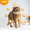 IAMS sausas pašaras naminėms katėms su vištiena, 2kg
