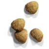 Sausas Kačių Maistas - IAMS Pažangi Mityba 10 Kg