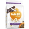 Sausā barība kaķēniem – IAMS CAT KITTEN CHICKEN, 1.5kg