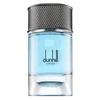 Dunhill Signature Collection Nordic Fougere EDP parfumuotas vanduo vyrams, 100 ml