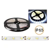 „Ecolight PS“ LED juostelė ECO* neperšlampama diodų girlianda, balta šalta šviesa, 300 diodų SMD2835, 5m, baltas pagrindas