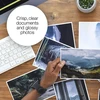 Epson 202XL rašalas (geltonas)