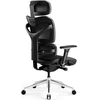 Ergonominė kėdė  DIABLO V-COMMANDER, Juodos spalvos