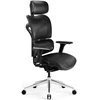 Ergonominė kėdė  DIABLO V-COMMANDER, Juodos spalvos