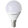 Esperanza Led Light lemputė G45 E14 6W ELL152
