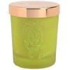 Etro Dafne Scented Candle kvapioji žvakė, 170 g