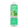 Eveline Organic Aloe Vera micelinis vanduo 400 ml