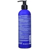 CHI Color Illuminate Sidabrinis Skirtas šviesiems plaukams Mėlyna Šampūnas, 355 ml