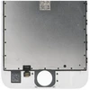 FixCell IPHONE 6S ekranas baltas (atnaujintas)