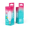 „Telforceone Forever Light“ LED lemputė E14 C37 2,2 W 260 lm 4000 K, E klasė