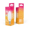 „Telforceone Forever Light“ LED lemputė E14 C37 4,8 W 630 lm 3000 K, E klasė