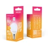 „Telforceone Forever Light“ LED lemputė E14 G45 2,2 W 270 lm 3000 K, E klasė