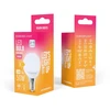 „Telforceone Forever Light“ LED lemputė E14 G45 4,8 W 630 lm 3000 K, E klasė