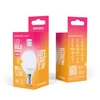 „Telforceone Forever Light“ LED lemputė E14 G45 4,8 W 630 lm 3000 K, E klasė
