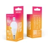 Telforceone Forever Light LED lemputė E14 G45 8,5 W 1000 lm 3000 K E klasė
