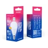 Led Line Telforceone Forever Light LED Bulb E14 G45 8.5W 1000lm 6000K class E