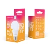 Telforceone Forever Light LED Bulb E27 A55 4W 480lm 3000K class E