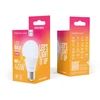 „Telforceone Forever Light“ LED lemputė E27 A55 4W 480lm 3000K E klasė