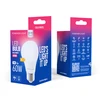 „Telforceone Forever Light“ LED lemputė E27 A60 7W 806lm 6000K E klasė