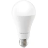 „Telforceone Forever Light“ LED lemputė E27 A65 17W 2100lm 3000K E klasė