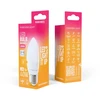 „Telforceone Forever Light“ LED lemputė E27 C37 4,2 W 480 lm 3000 K, E klasė