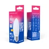 „Telforceone Forever Light“ LED lemputė E27 C37 4,2 W 480 lm 6000 K, E klasė
