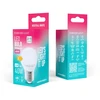 „Telforceone Forever Light“ LED lemputė E27 G45 4,2 W 480 lm 4000 K, E klasė