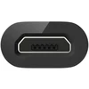 Fusion Accessories Fusion Priedai Fusion universalus adapteris Mikro USB prie USB Type-C (USB-C) jungtis Juodas