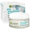 Garnier Skin Naturals Hyaluronic Aloe Jelly Daily Moisturizing Care Day kreminis moterims, 50 ml