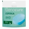 Genove dušo kempinė