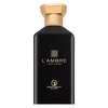 Grandeur L'Ambre EDP parfumuotas vanduo vyrams, 100 ml