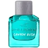 Hollister Canyon Rush for Him (EDT) EDT for Men 100 ml