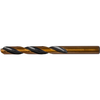 HSS metalo grąžtas 4,2 mm 2vnt Proline