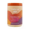 Inebrya Color Perfect Mask spalvą apsauganti kaukė dažytiems plaukams, 1000 ml
