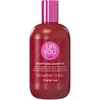Inebrya Up To You Liss Smoothing Šampūnas glotninantis šampūnas nepaklusniems / besišiaušiantiems plaukams, 300 ml