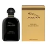 Kvepalai vyrams Jaguar For Men EDT, 100 ml