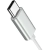 Joyroom JR-EC06 USB-C Įstatomos į ausis ausinės - sidabrinis