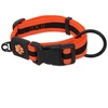 Antkaklis - Placek Active šunų antkaklis Fluffy M, oranžinis, 2,5 x 33–48 cm