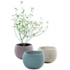 Rinkinys doniczek KETER Cozies Trio 230393 (151mm x 107mm x 151 mm; spalva violetinė)
