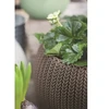 Keter COZIES KNIT gėlių vazonas - šviesiai rudas