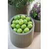 Keter Medium Cylinder Planter sidabrinė
