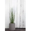 Keter Small Cylinder Planter sidabrinė