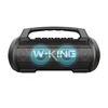 W-KING D10 60W nešiojama kolonėlė