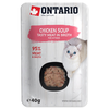 Ontario Kitten Soup vištiena, Carrot ir ryžiai 40g (Sriuba)